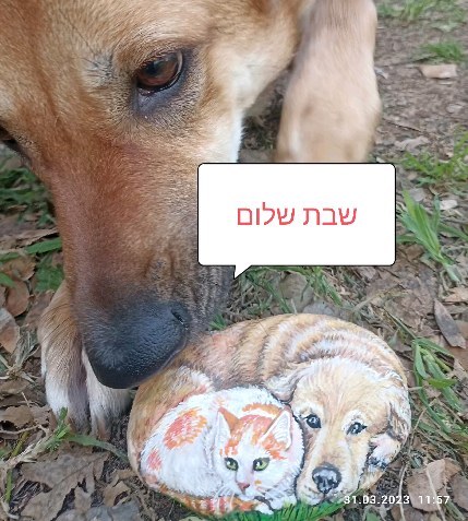 אבן חדשה שהכנתי לברכת חג פגשה חברים מתוקים בגינה