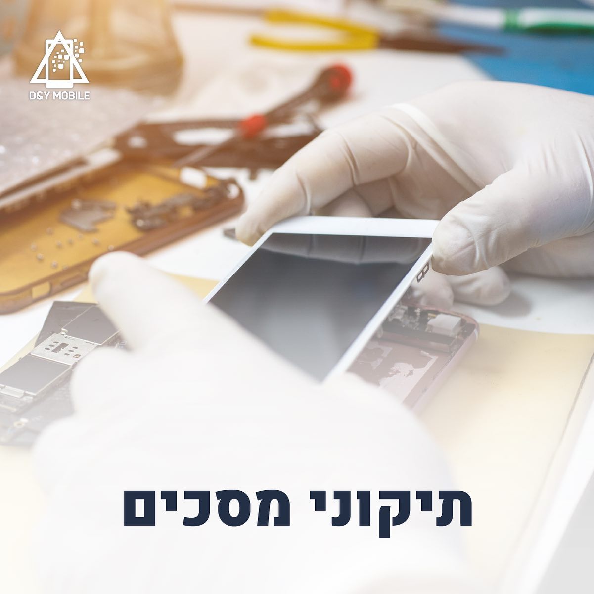 תמונה ללא תיאור