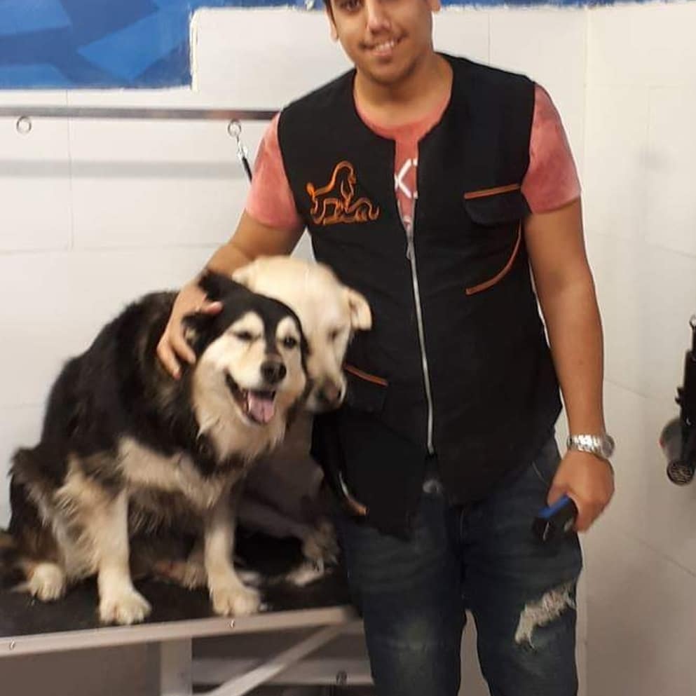 הגיע זמן תספורת לכלב? הזמן שלך חשוב לנו!
שירות ייחודי ב"כלב כלבבי":
נאסוף את הכלב מביתך, נספר אותו מקצועי ויפה ונחזיר אותו הביתה בתום התספורת.
7 שנות ניסיון. מחירים הוגנים. שירות ואיכות ברמה גבוהה. לקוחות רבים מרוצים וממליצים.
להזמנת תספורת: 077-5581767
החלמונית 22 ראשון לציון www.kelevkilvavi.co.il
