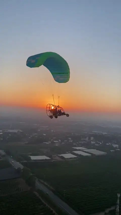 תמונה ללא תיאור