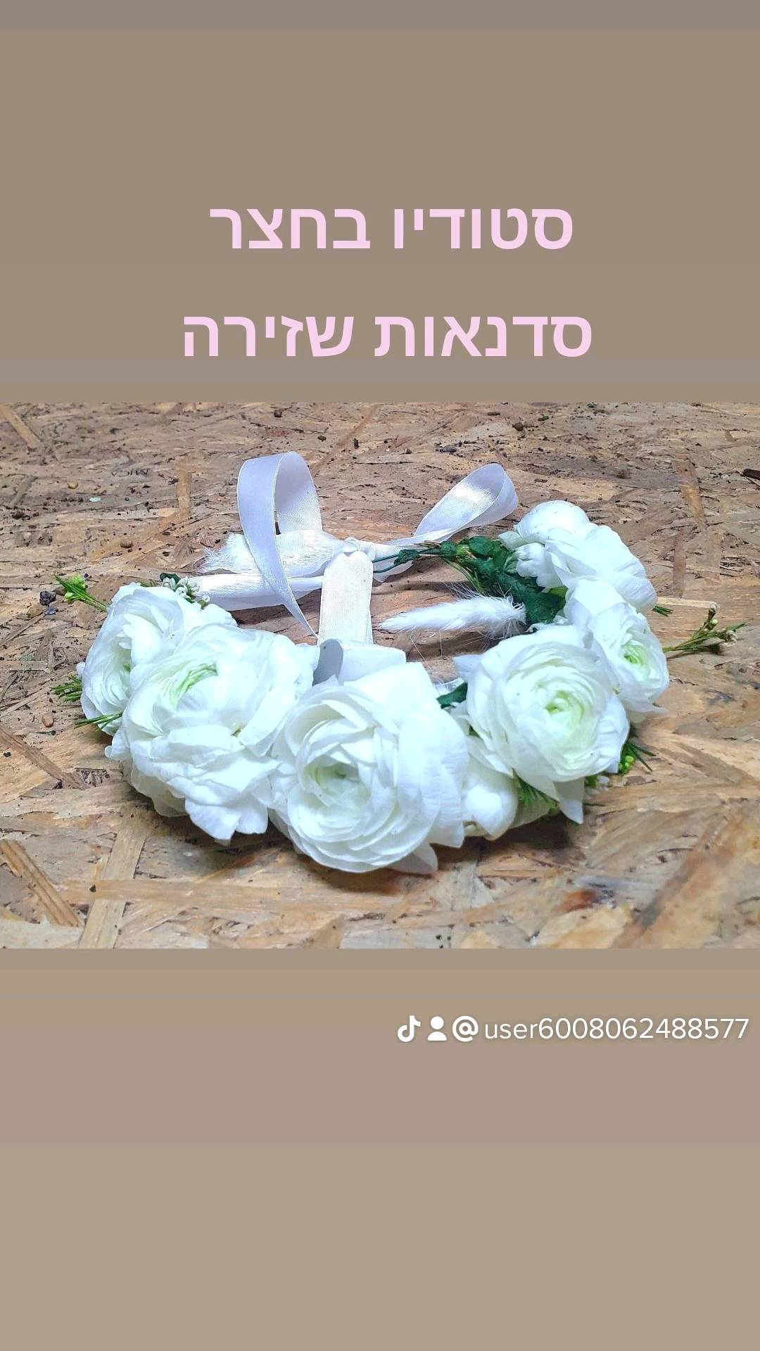 תמונה ללא תיאור